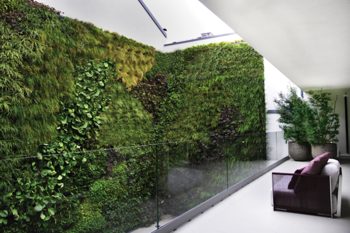 Verde Profilo Konzept K Levende Planter Plantevegg Fasade Hjem Bolig Vegger