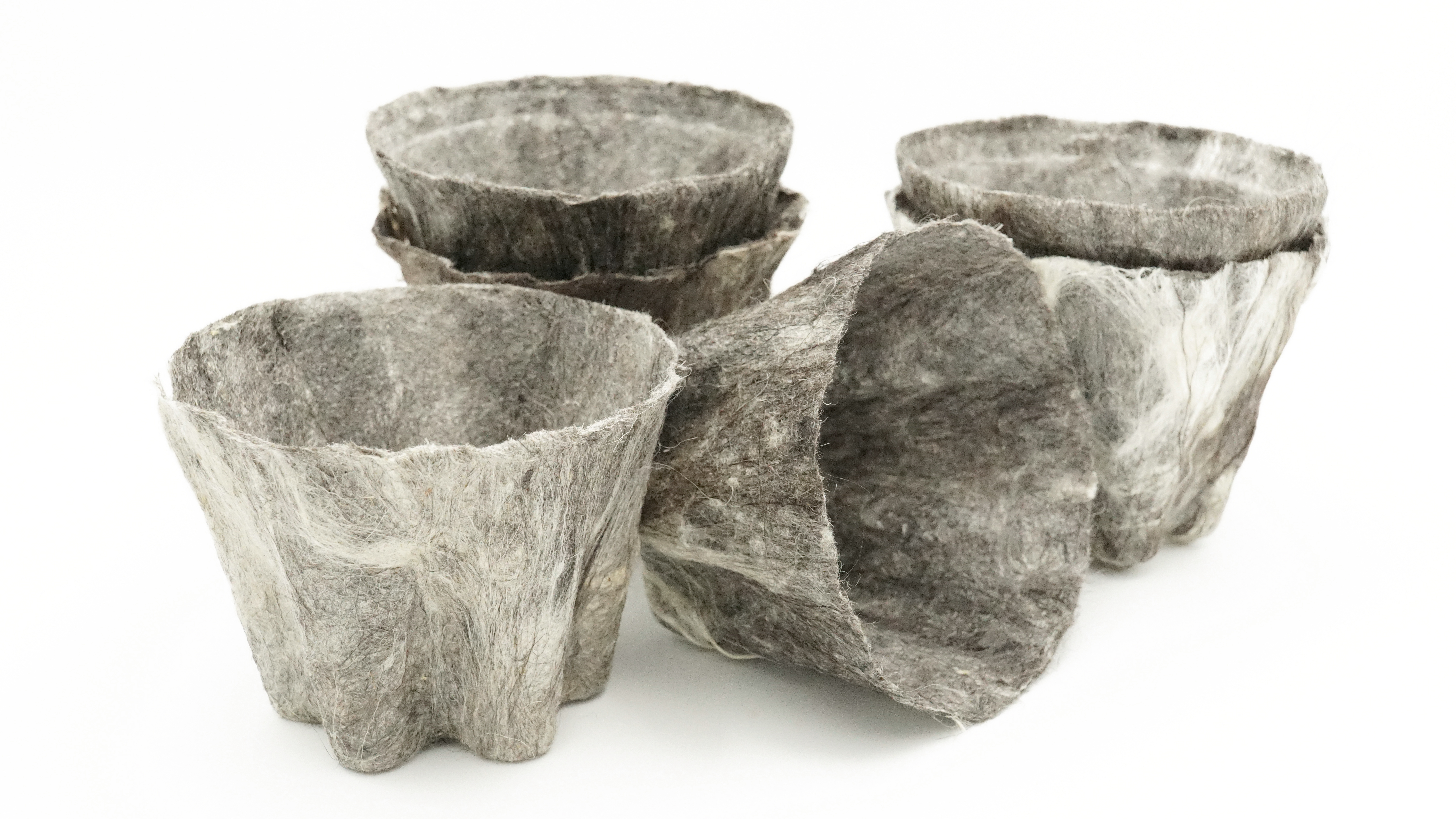 Woolly Pot 6
